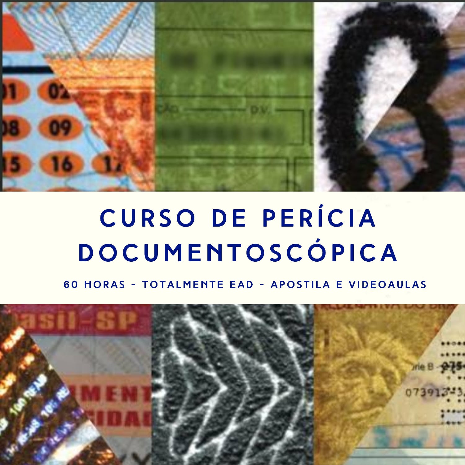 Cursos Expert Para Peritos